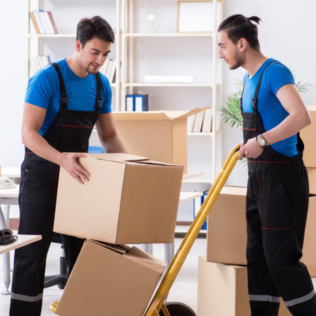 Mudanças Rápidas: Como a Rovyan Facilita Pequenas e Médias Mudanças com Agilidade e Segurança